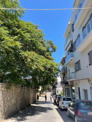 Πανάνειο, Δέντρα