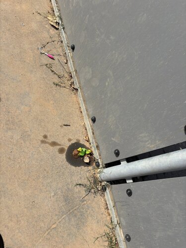 Πάρκο, Πολυκατάστημα