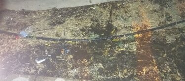 πότισμα-πάρκο