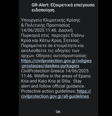 Φωτιά Σητεία, Πολιτική Προστασία