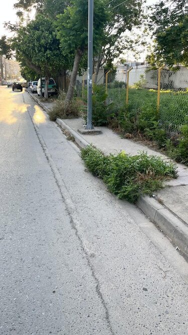 Πεζοδρόμια χόρτα 