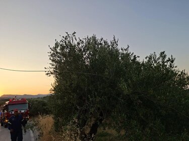 Φωτιά στις Μελέσες - Επί ποδός η Πυροσβεστική