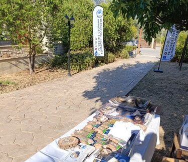 Γεωπάρκο Ψηλορείτη