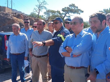 Κατσαφάδος