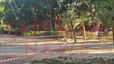 Πάρκο Γεωργιάδη, Δέντρο