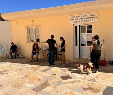 Στειρώσεις, Δήμος Μαλεβιζίου