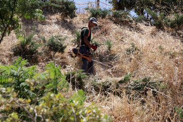 teixi katharismos xorta2