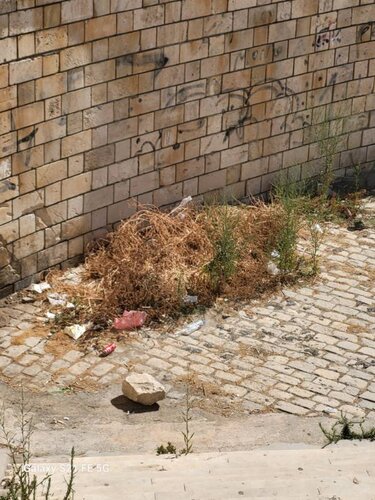 xera xorta paraliaki2