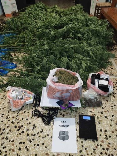 δενδρύλλια κάνναβης θερμοκήπια