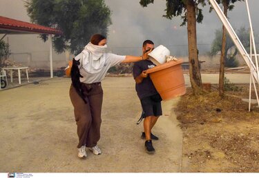 διάσωση ζώων