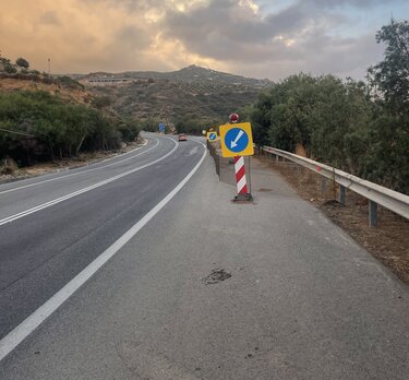 λυγαριά καθίζηση