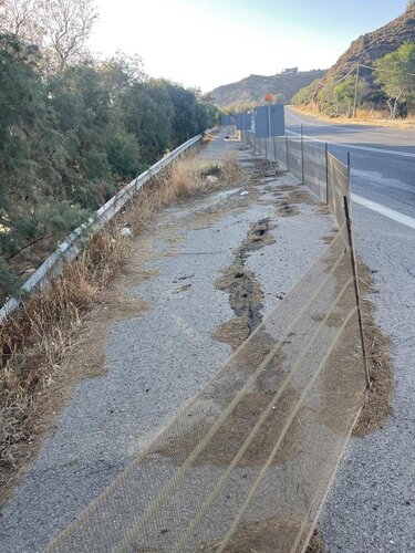 λυγαριά καθίζηση