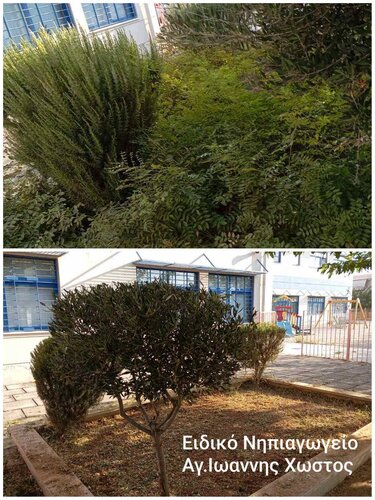 Πράσινο σχολεία Ηρακλειο