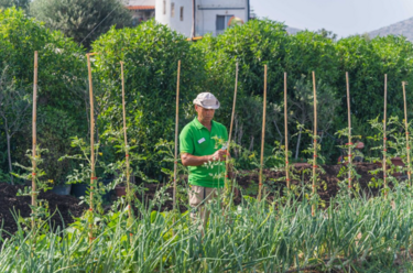  Metaxa Hospitality Group