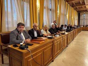 Δημοτικό Συμβούλιο