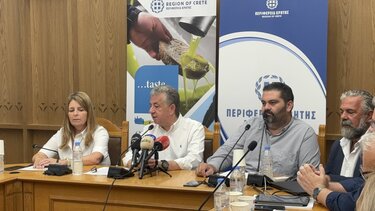 Ελαιόλαδο, Περιφέρεια Κρήτης 