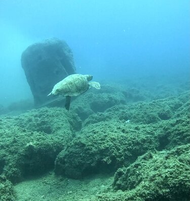 Καταδυτικό Πάρκο Σταλίδας
