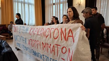 Διαμαρτυρία, Δημοτικό Συμβούλιο