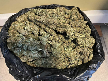 Ηράκλειο κανναβη