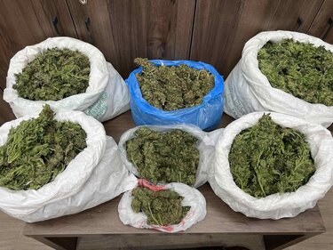 Κάνναβη, Αμάρι