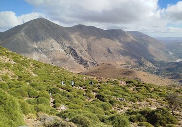 Ορεινό, Πεζοπορία