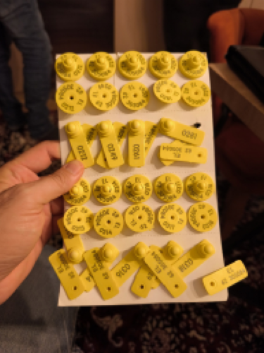 Με κομβόι 25 αυτοκινήτων στη ΓΑΔΑ οι 37 συλληφθέντες για τη μαφία του ΟΠΕΚΕΠΕ! (video &photo)