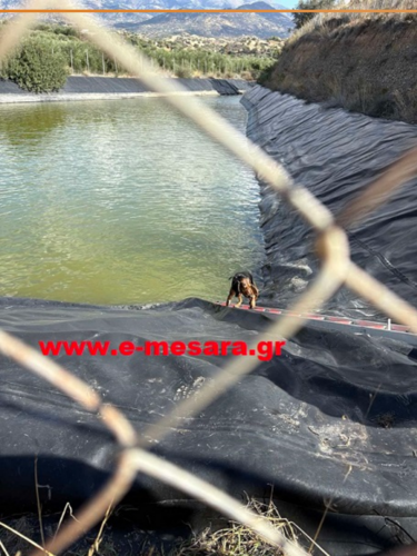 Σκυλιά-Λιμνοδεξαμενή