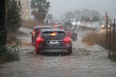 Μαλάδες βροχή