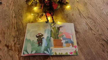 Λάθος, Βιβλίο