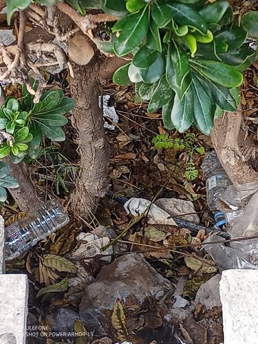 Παρτέρια, Άγιος Τίτος