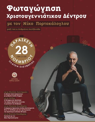 Νίκος Πορτοκάλογλου, Συναυλία