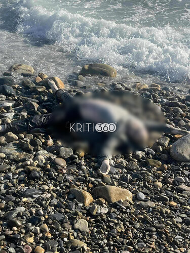 Πτώμα, Παλαιόχωρα