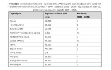 Πυρκαγιές, Flame