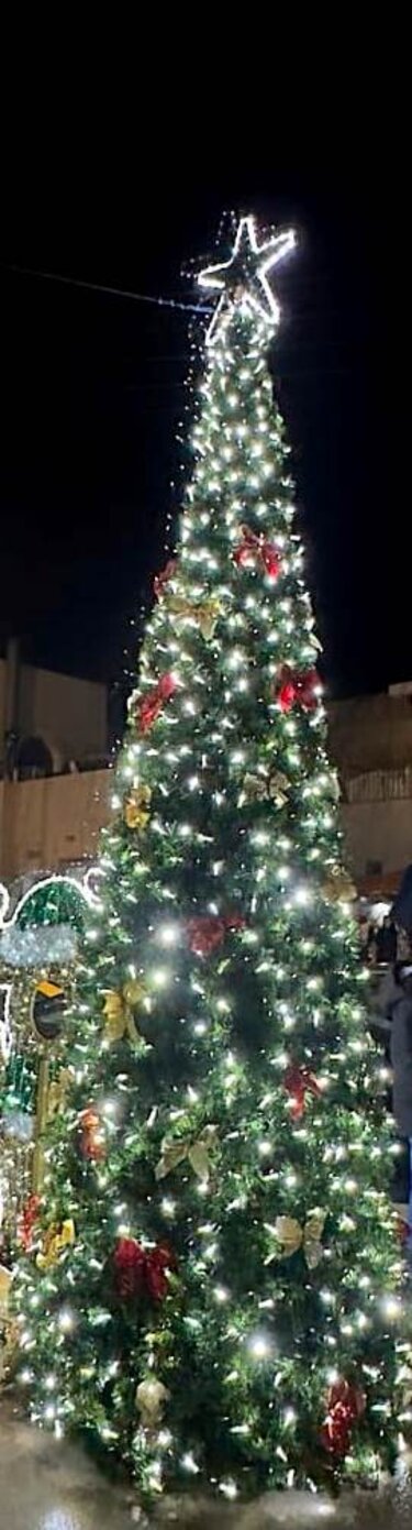 Καστέλλι δέντρο