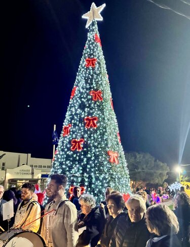 Χερσόνησος Γούρνες Δέντρο