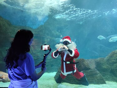 Χριστουγεννιάτικη ξενάγηση από την Περιφέρεια Κρήτης στο Ενυδρείο Κρήτης για παιδιά που νοσηλεύονται