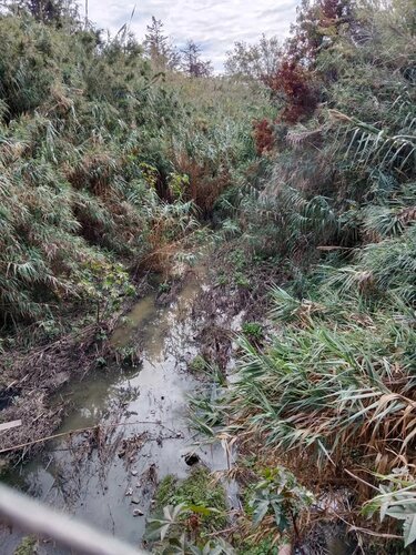 Λύματα, Λεωφόρος Καζαντζίδη