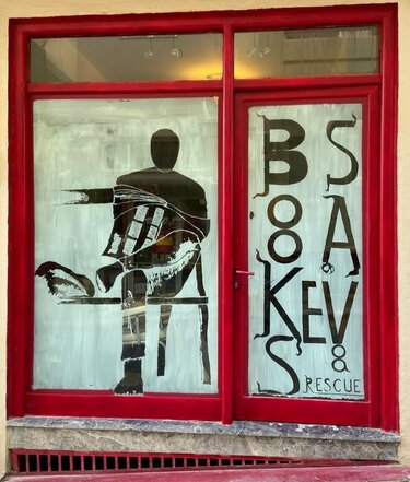 Ομάδα Νόημα, Διάσωση Βιβλίων