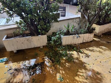 Ζαρντινιέρες, Λουλούδια