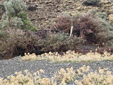 Ζημιές, Δήμος Μινώα