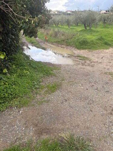 Δρόμος Κουνάβοι