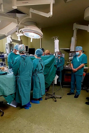 Άγγελος-Δωρεά οργάνων