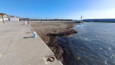 Λιμάνια Βιάννος Άμμος