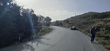 Δέντρο Μονή επανωσήφη