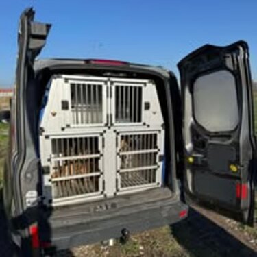 Έρευνες, kyon osfrisis