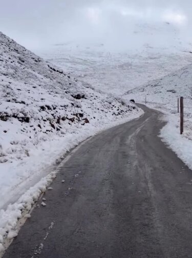 Λιβαδιώτικο αόρι χιόνια