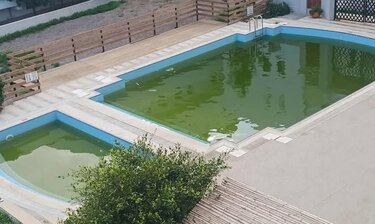 Πισίνα, Πράσινο χρώμα