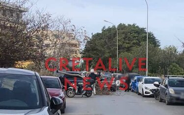 Πτώση Δέντρου