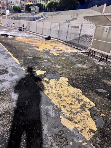 Στάδιο Ελευθερίας, Τάπητας