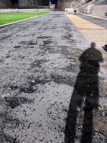 Στάδιο Ελευθερίας, Τάπητας